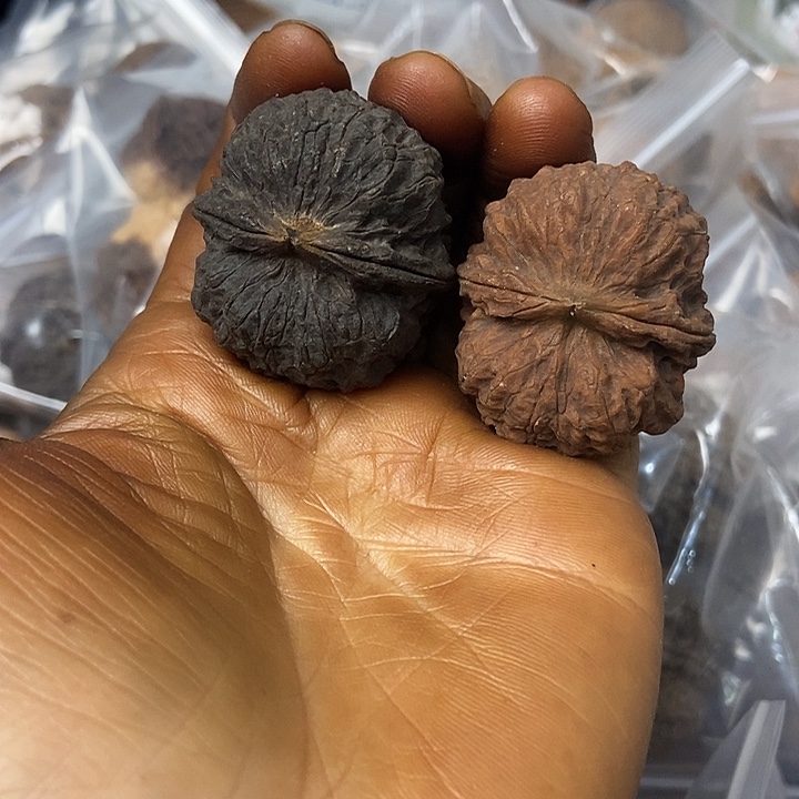 把件文玩核桃云南铁核桃基地2