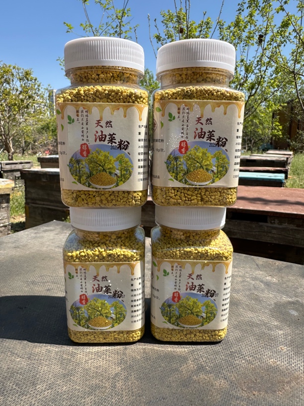 纯正新鲜油菜粉 小蜜蜂采集天然蜂花粉