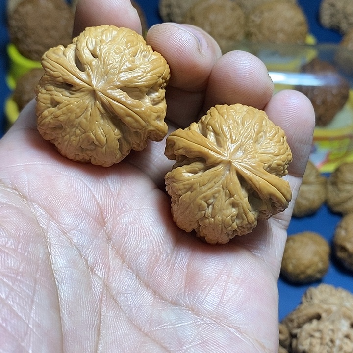 文玩核桃把件z**n36尺，粗筋