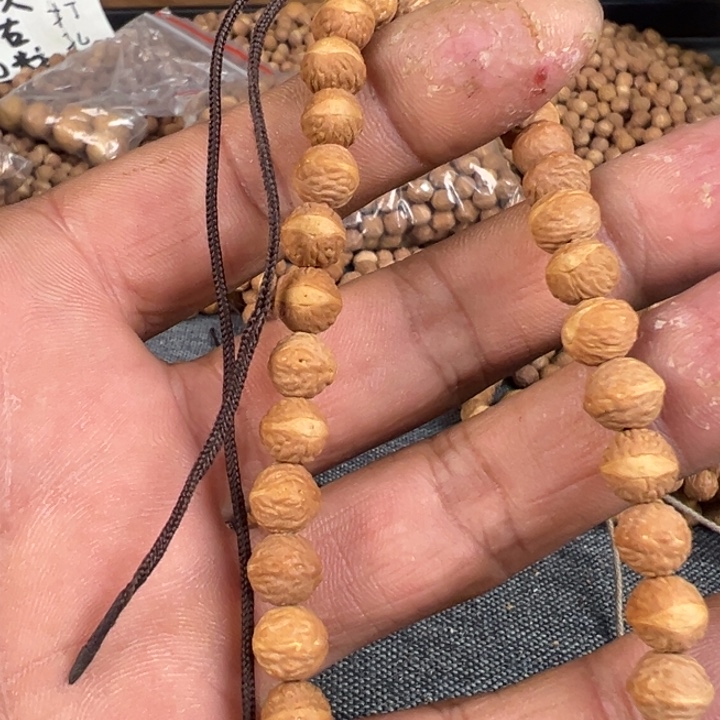 吊坠凤眼菩提文玩酸枣核