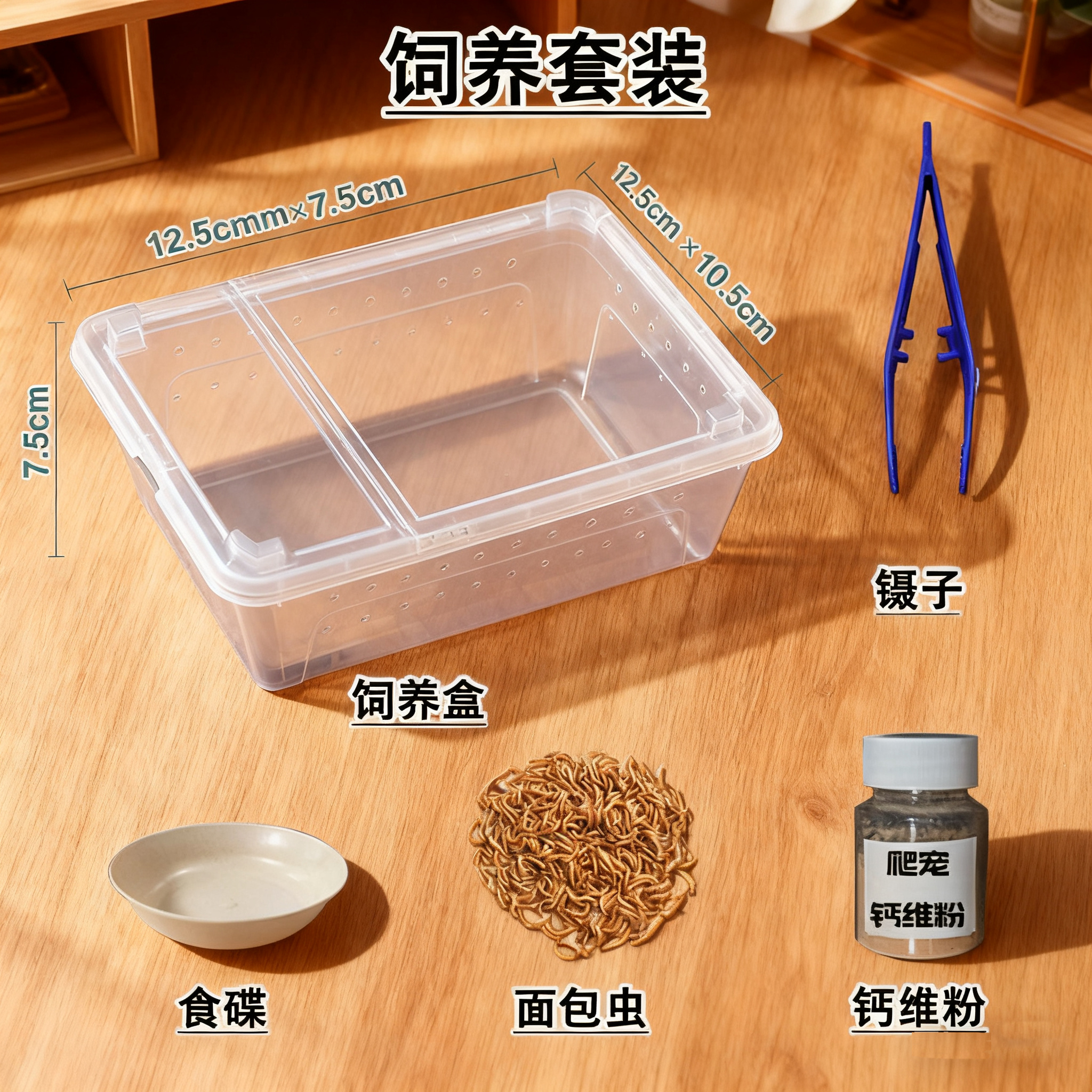 守宫蜥蜴基础饲养套装蜘蛛饲养盒方便携带简易宠物外带养殖箱翻盖