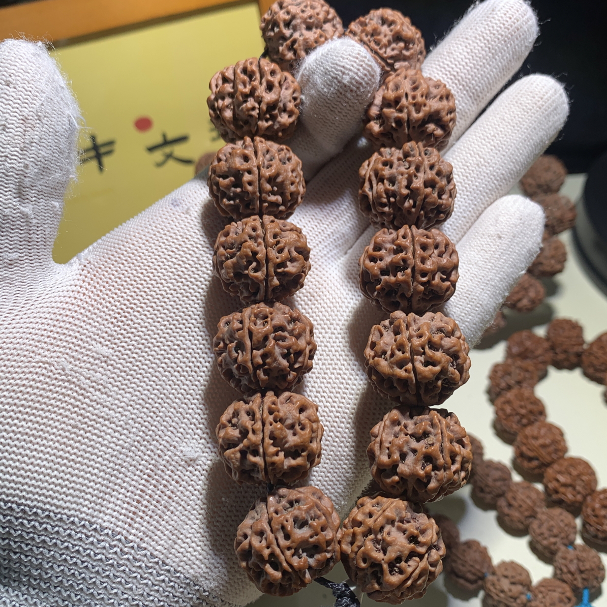 【小白强推】古龙镂空，尺寸23中，桩高20中