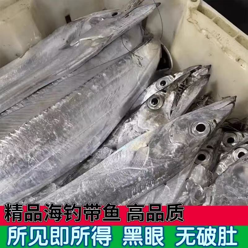 大号6-8两/条-东海带鱼/小眼睛油带/新鲜带鱼4斤顺丰包邮