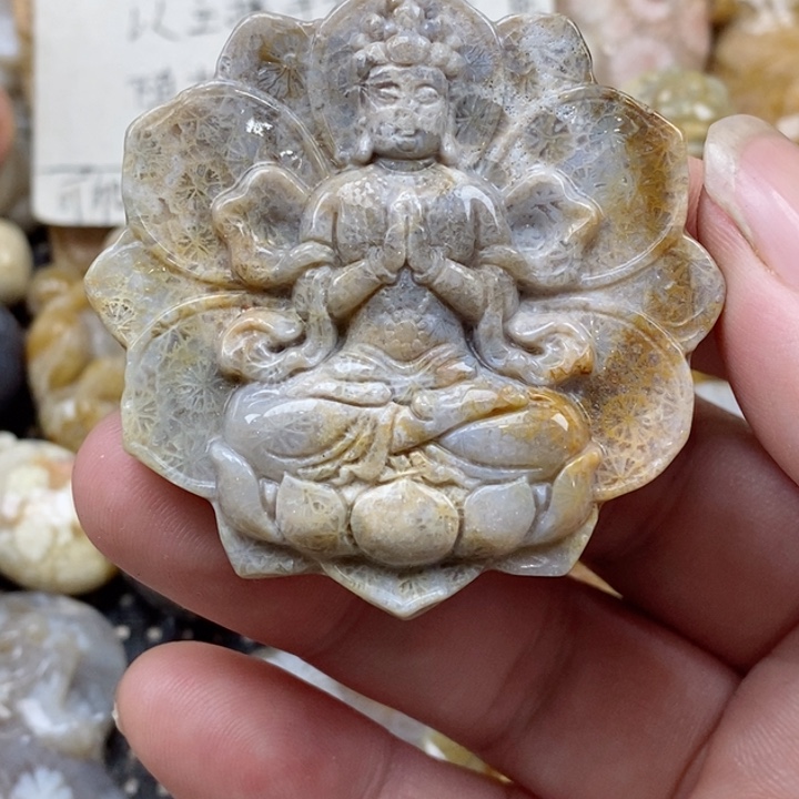 颈饰未镶嵌硅化珊瑚（珊瑚玉）有瑕