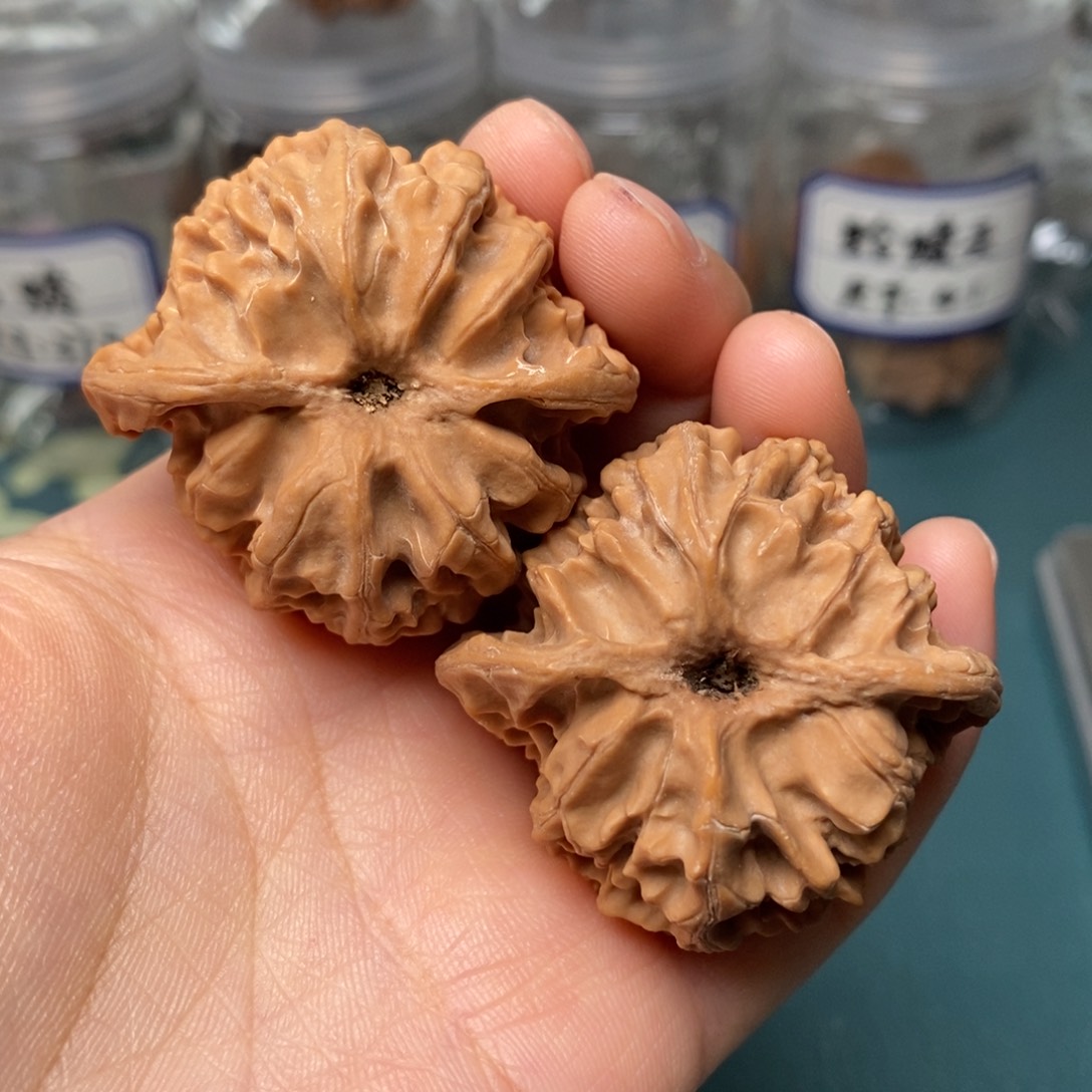 早****核桃44尺全品苹果园