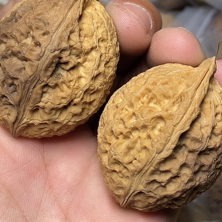 文玩核桃把件云南铁核桃81