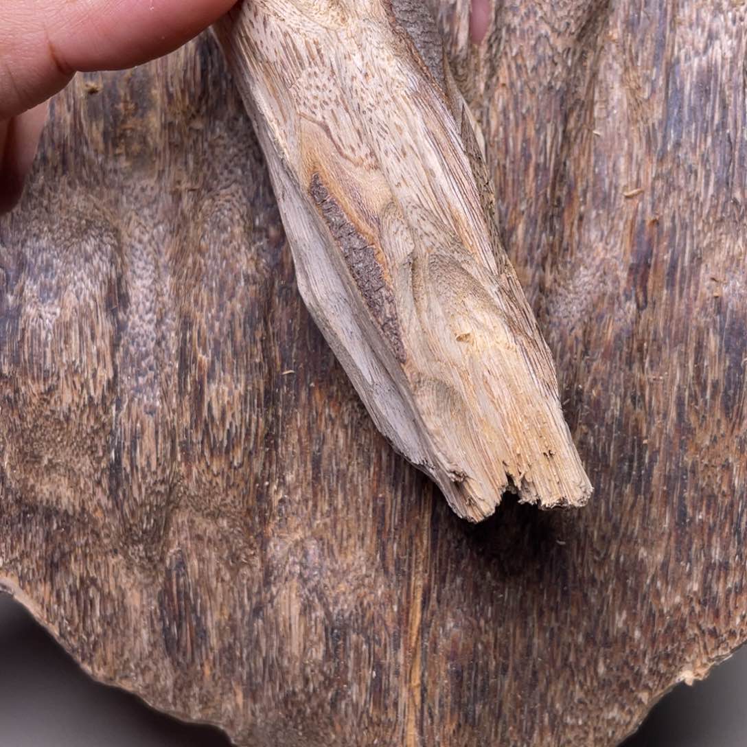 香榧木海南竹木根雕木料52克