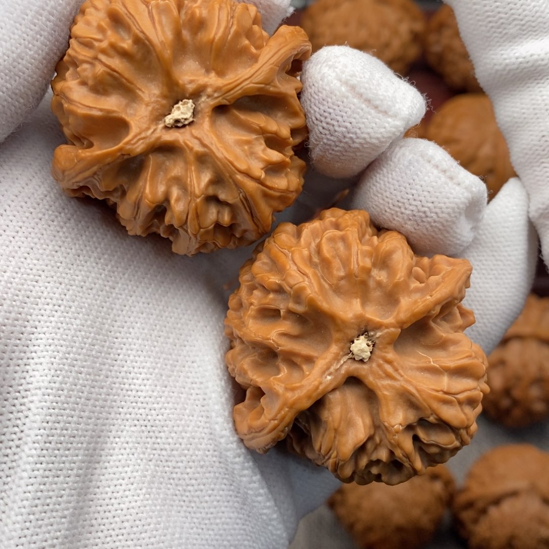 文玩核桃把件43老树球苹果