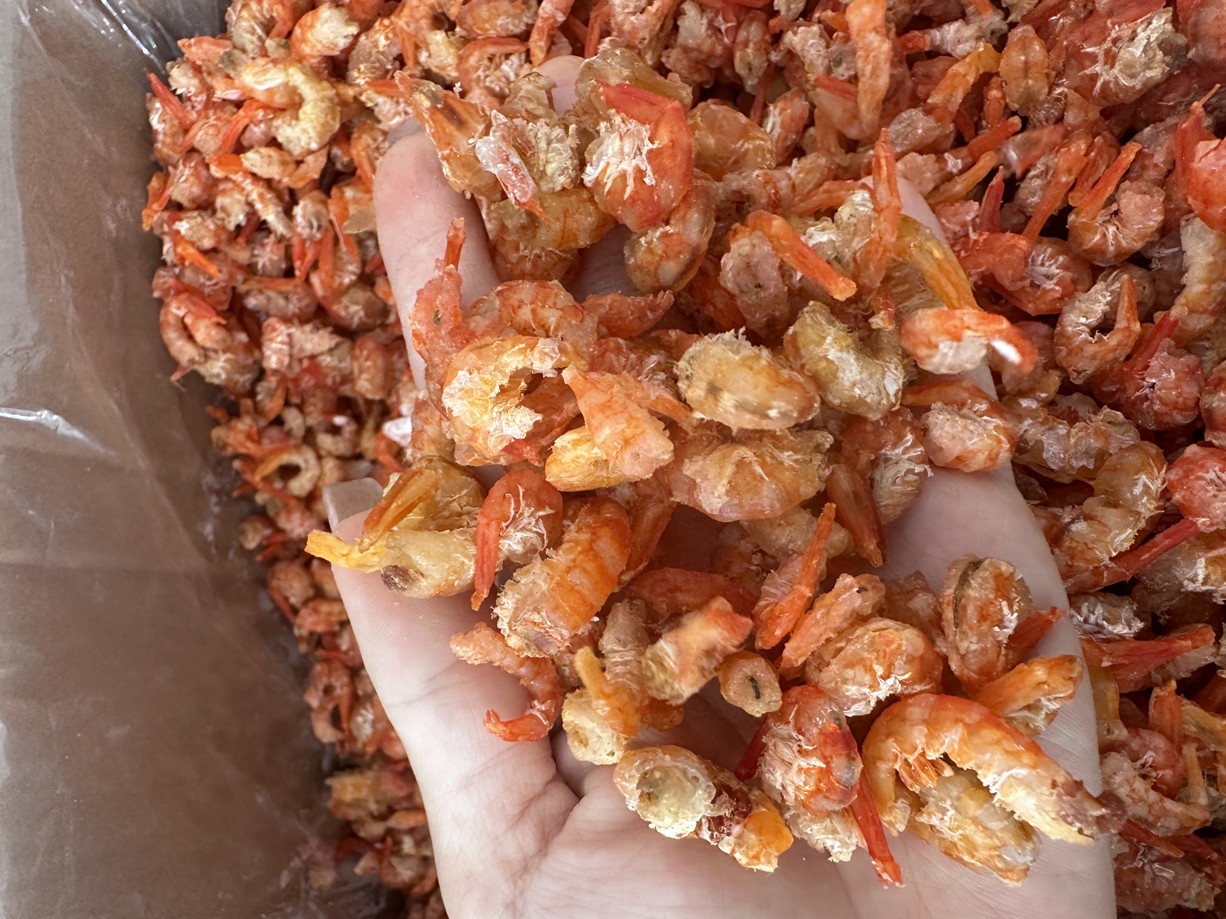 新鲜湛江天然 海虾米 煲汤 煲粥味道鲜甜250-500克一包