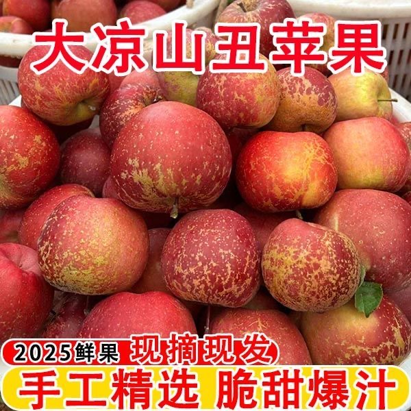 四川大凉山农家现摘丑苹果当季新鲜脆甜水果