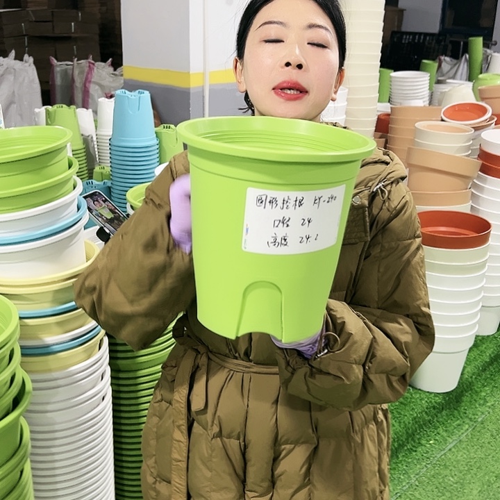 正品圆控口24高24果绿8只无托