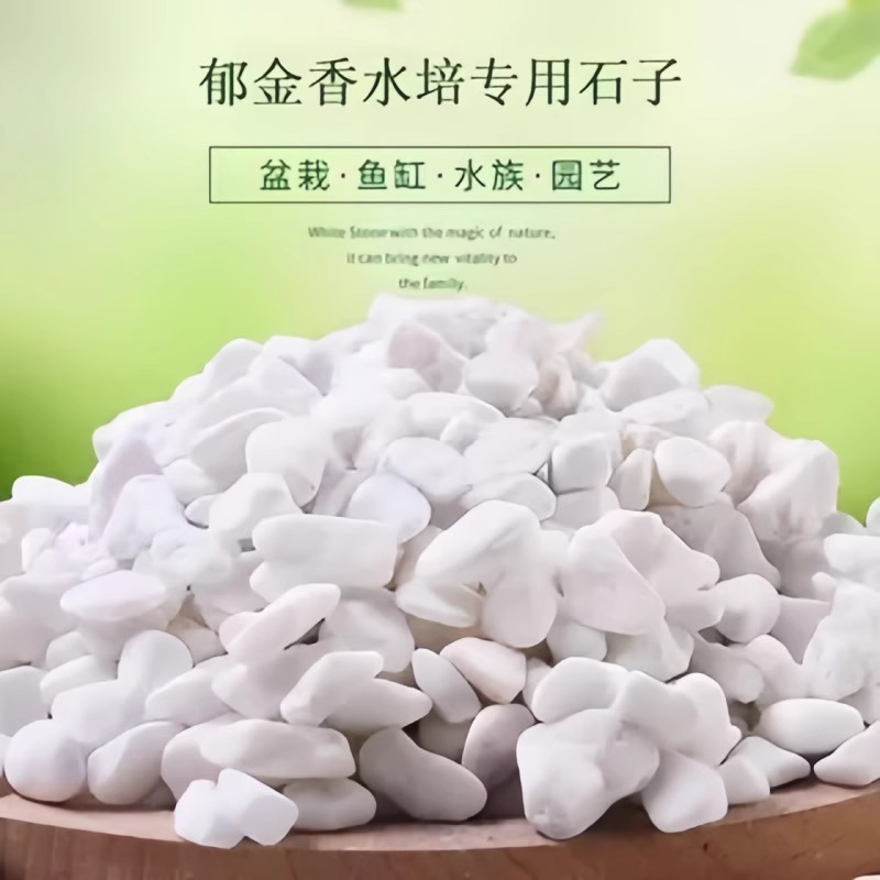鹅卵石小石头郁金香水培石子养花专用多肉铺面石铺底雨花石五彩石