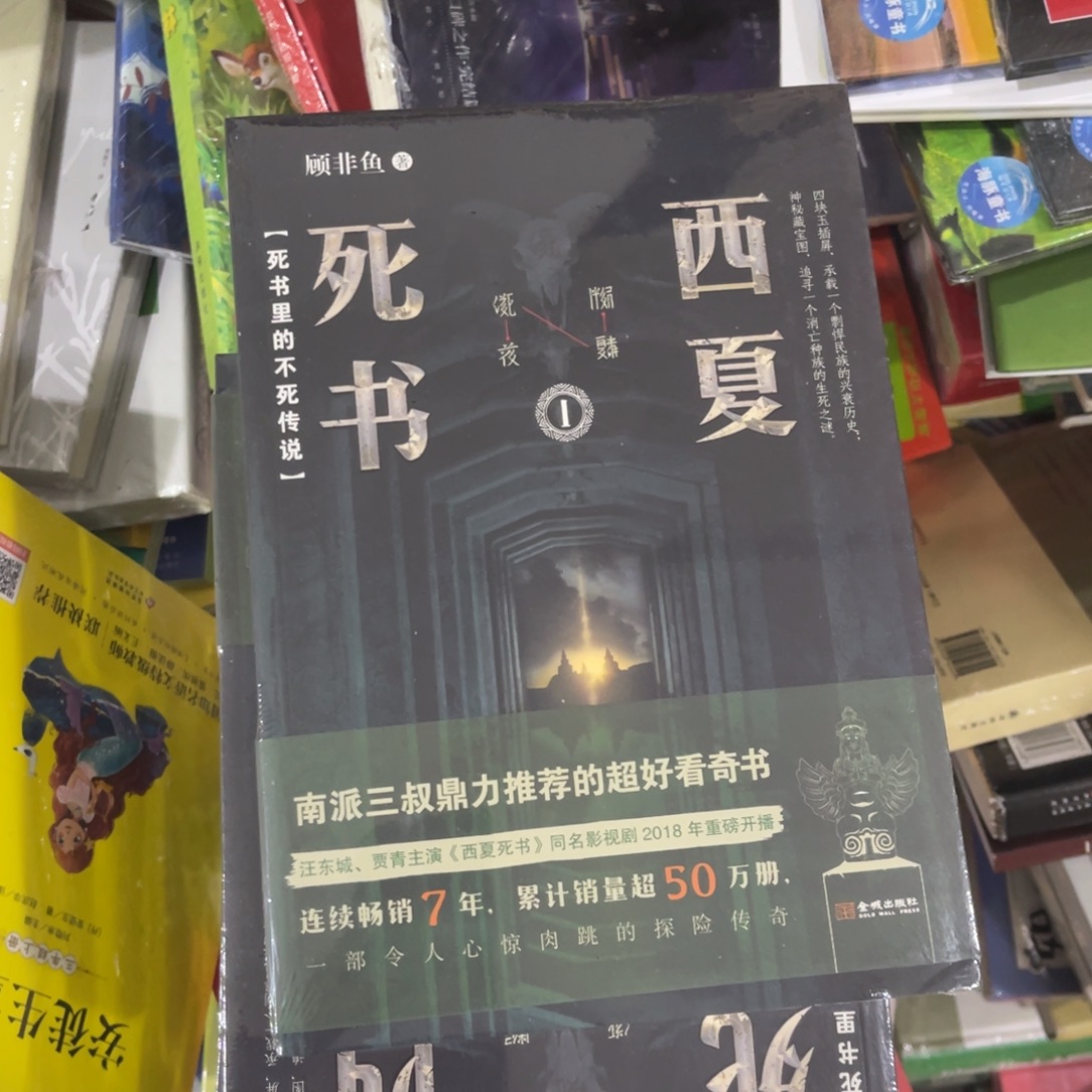 西夏死书简装一个