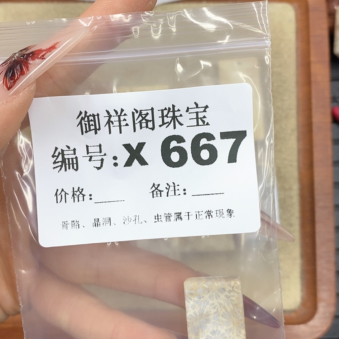 硅化珊瑚（珊瑚玉）颈饰未镶嵌一*