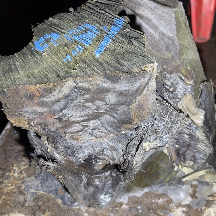 李***顺金丝楠金丝楠阴沉木