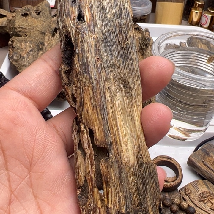 棋楠沉香沉水虫漏31克