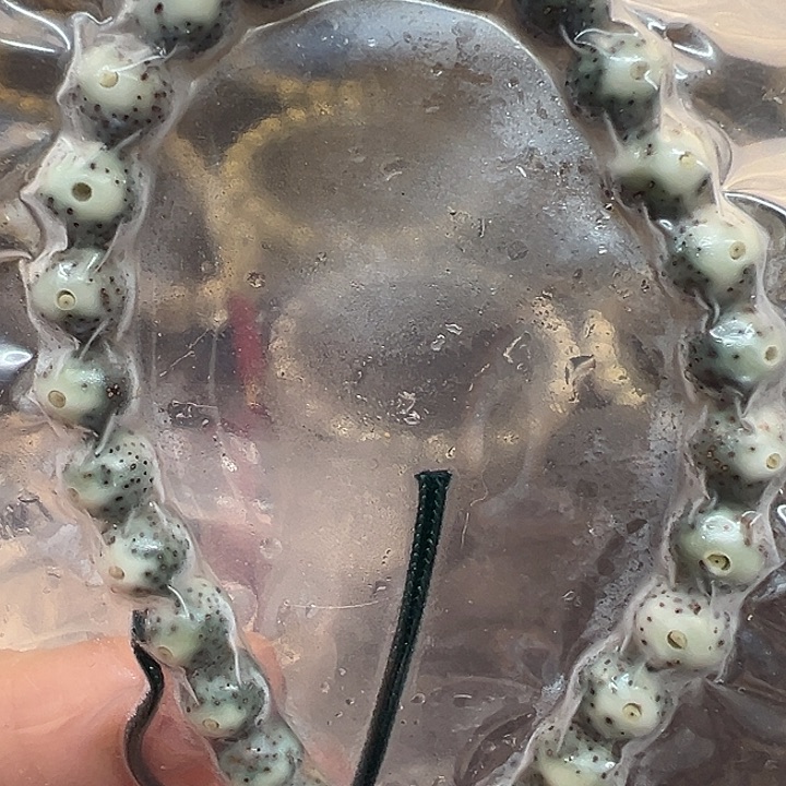 吊坠星月菩提海南原生态8圆手持