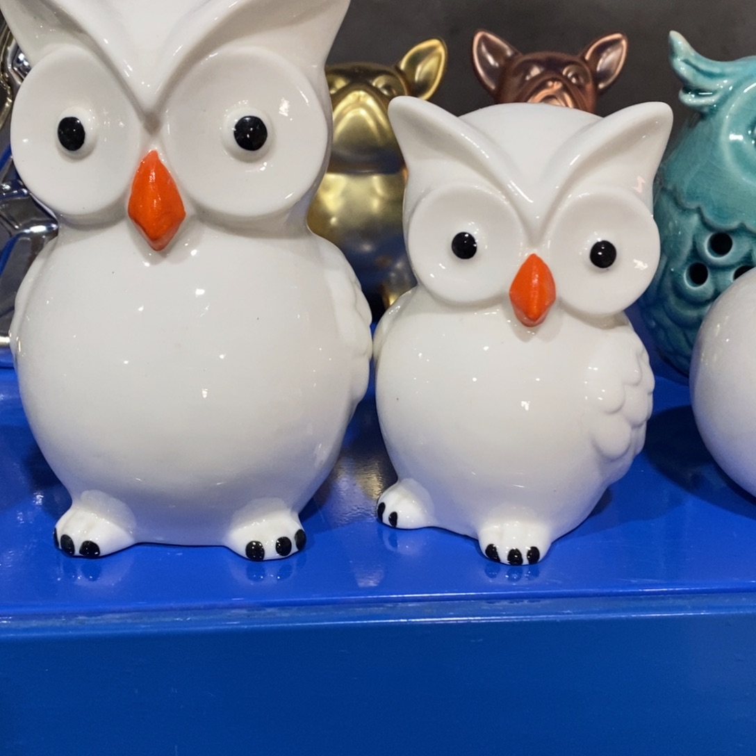 摆件新店开播，9.9包邮发货
