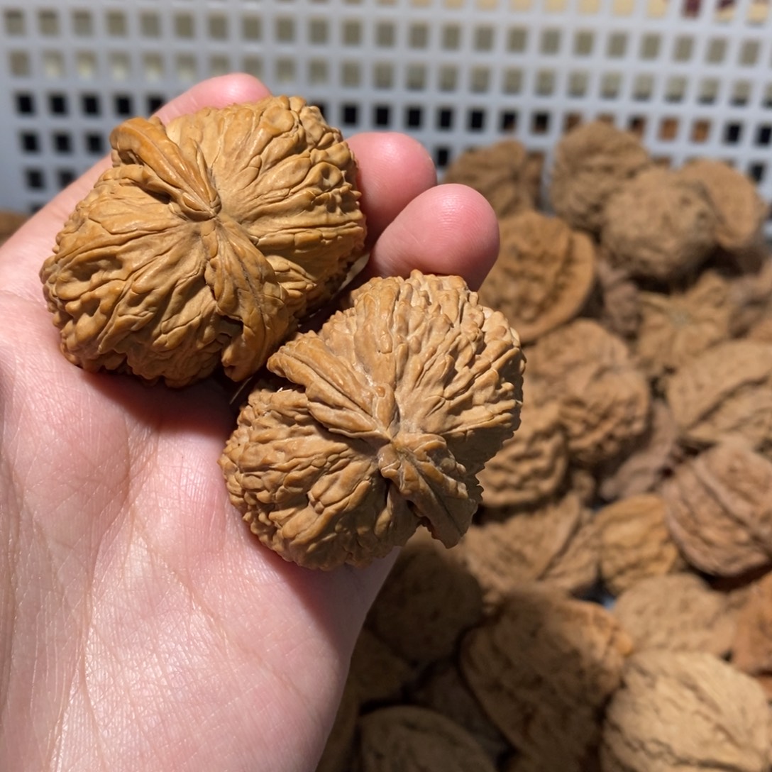 红***牛吊坠文玩核桃文文