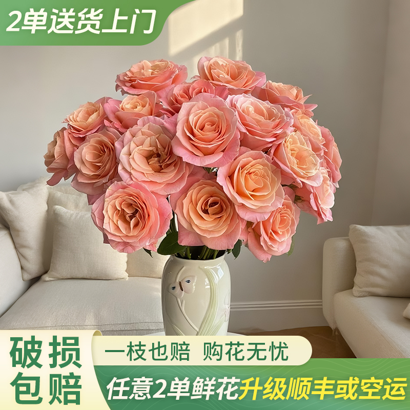 【大聪明卖花】朱小姐单头玫瑰云南直发鲜花家居水养鲜花花束客厅