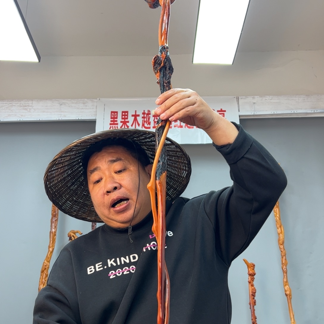 黑果木其他T***x黑果木551