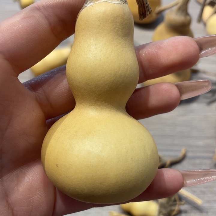 李*东粗嘴葫芦粗嘴葫芦