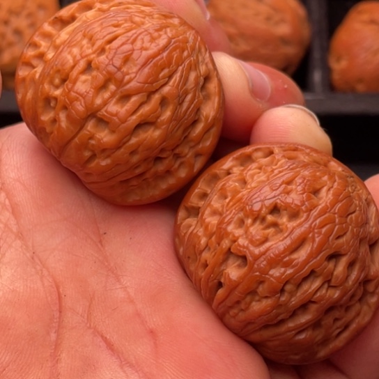 文玩核桃把件111111111111111