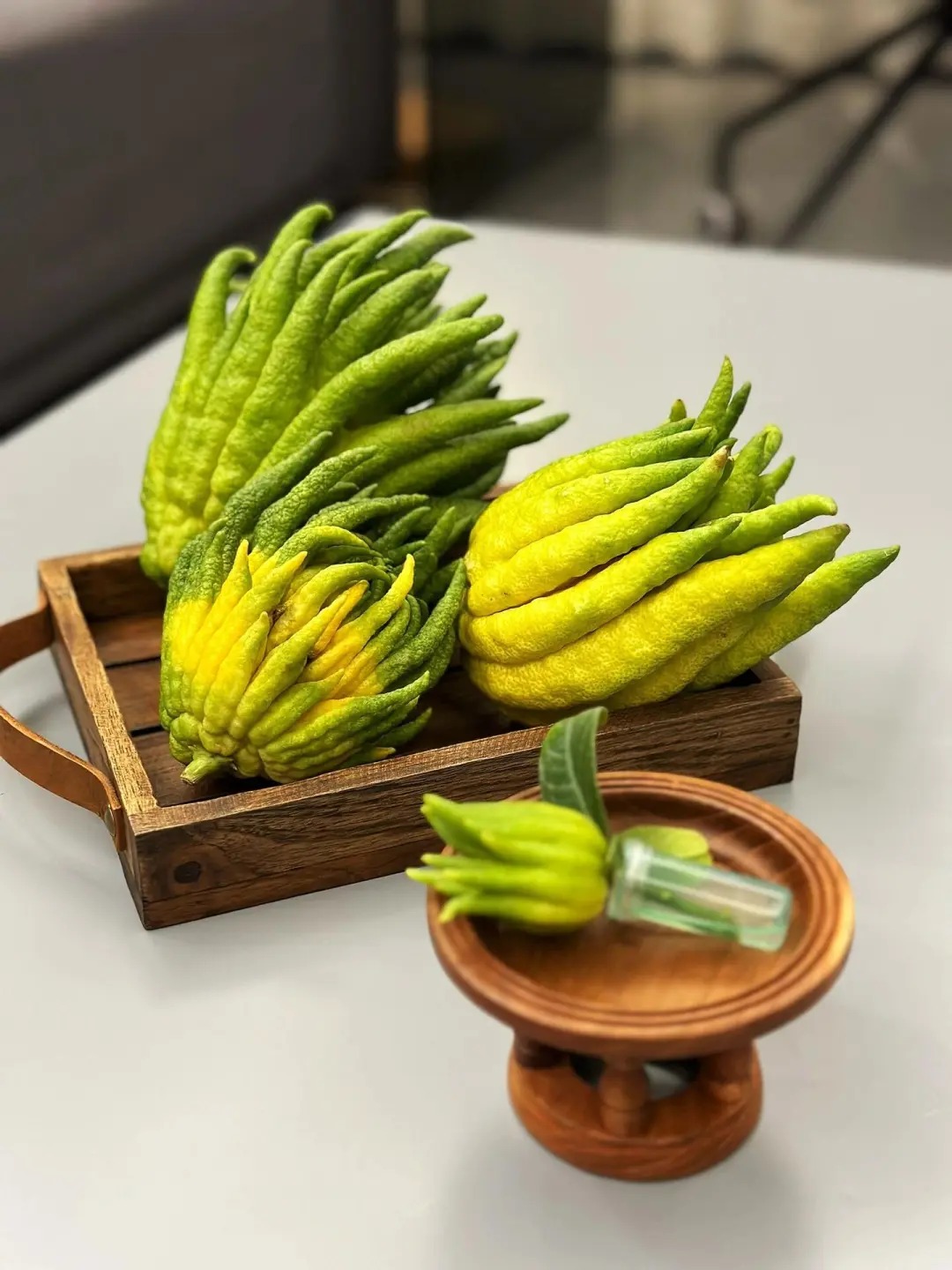 【新鲜现摘】云南高山佛手柑微瑕闻香果水培插花清供手玩天然香薰