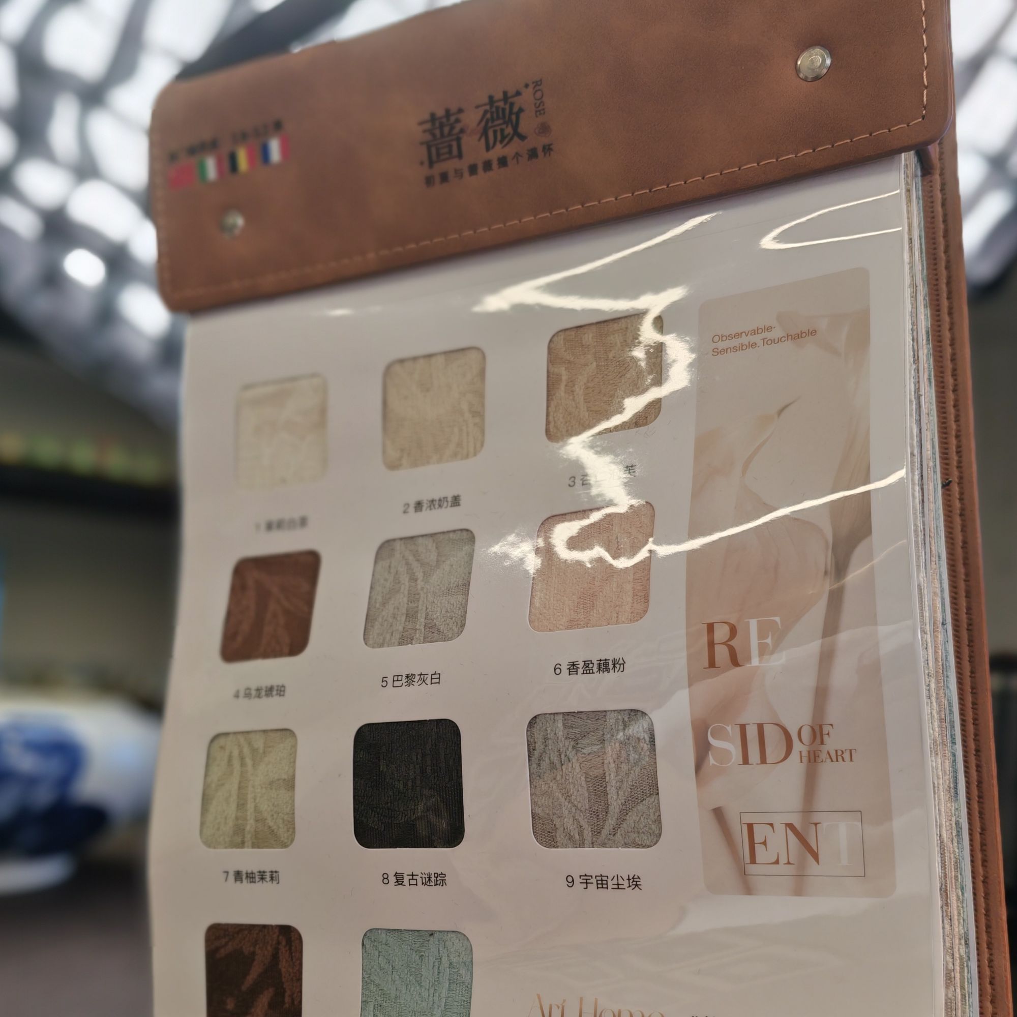 蔷薇 窗帘版本 合作意向金