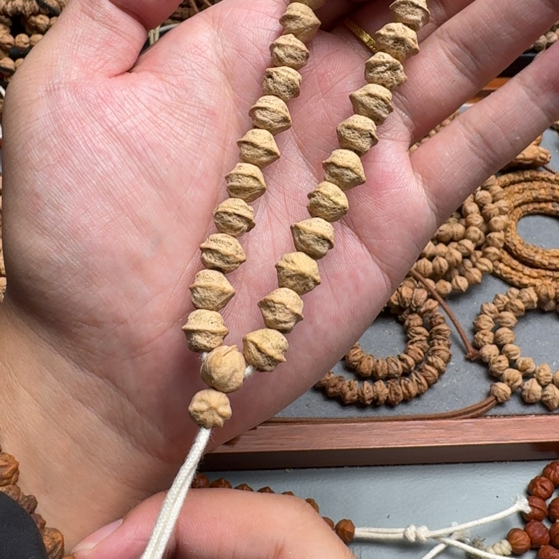 手串柏香籽/百香籽旗*扬21