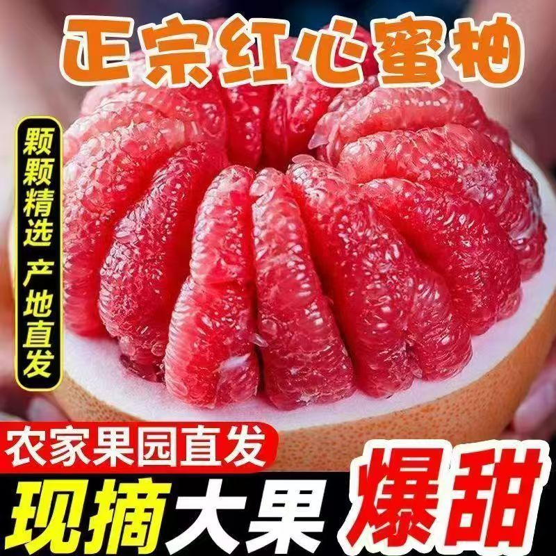 【红心柚】红心蜜柚皮薄鲜甜多汁新鲜采摘皮薄鲜甜多汁·YS10
