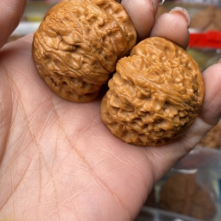 吊坠桃核白狮子39全品