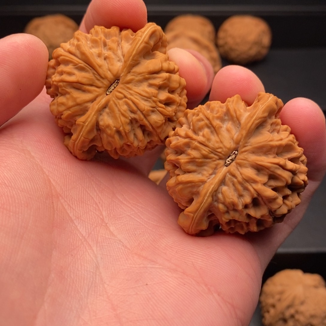 文玩核桃把件哎*呀核王