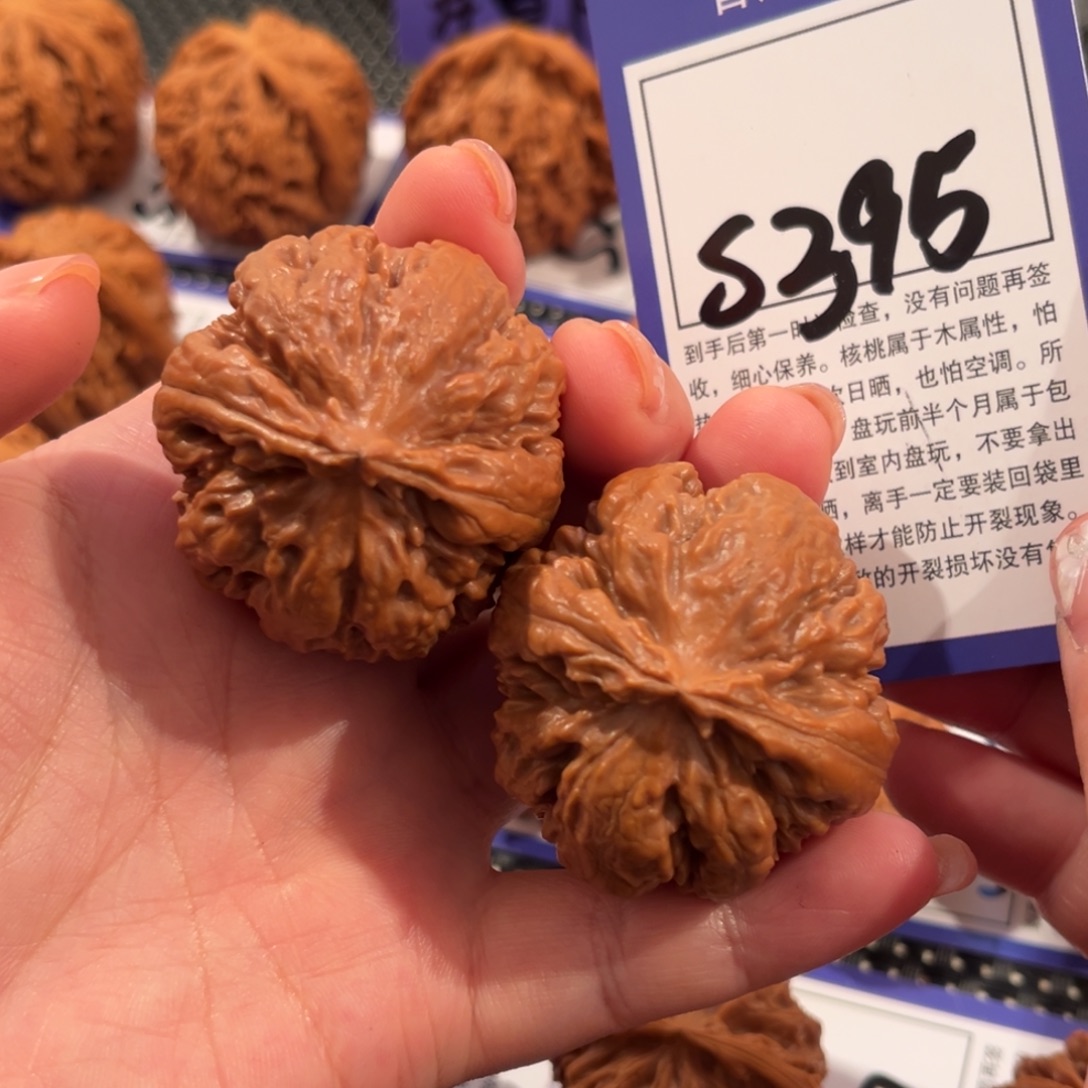 核桃S395号霸王龙40尺