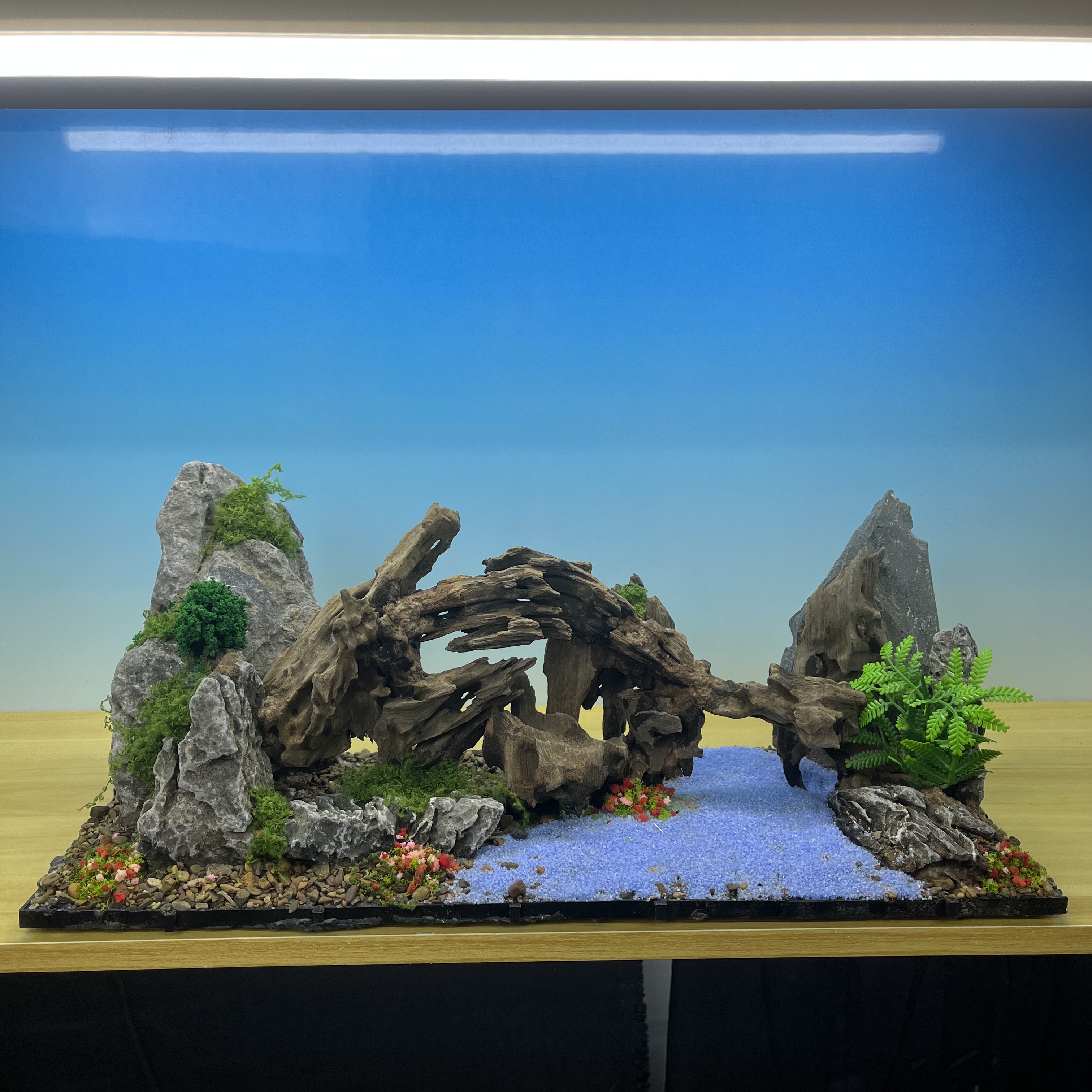 【一景一拍】鱼缸造景莫斯树 小米鱼缸一体骨架 水族造景