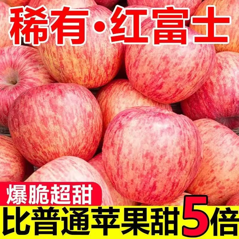正宗新鲜山东烟台红富士苹果新果脆甜水果整箱冰糖心批发