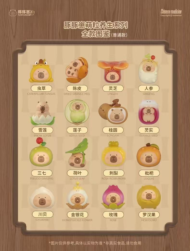 崽【拆盒】豚豚崽豚济堂本草集养生萌粒盲袋手办可爱迷你桌面摆件