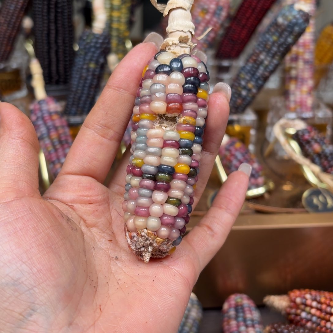 柏香籽/百香籽吊坠王**?