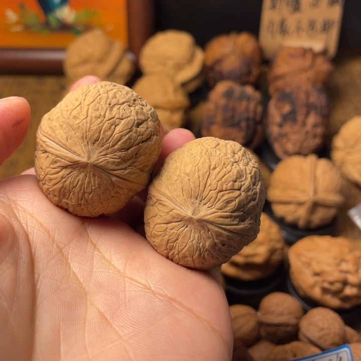 向***南云南野生铁核桃编号58
