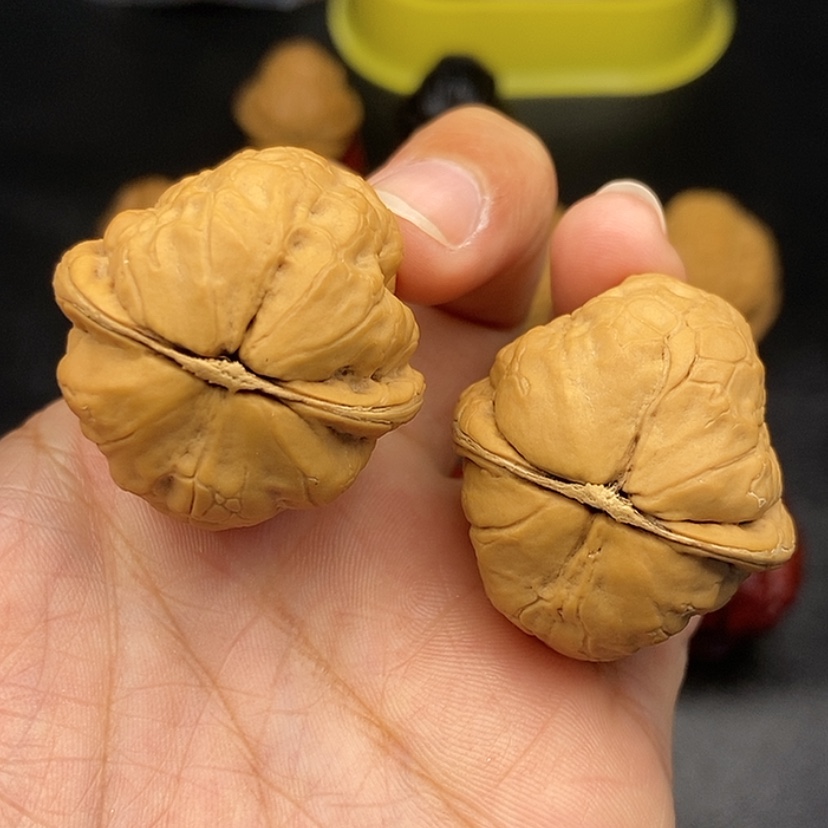 【闪购商品】把件文玩核桃34尺金刚鹦鹉