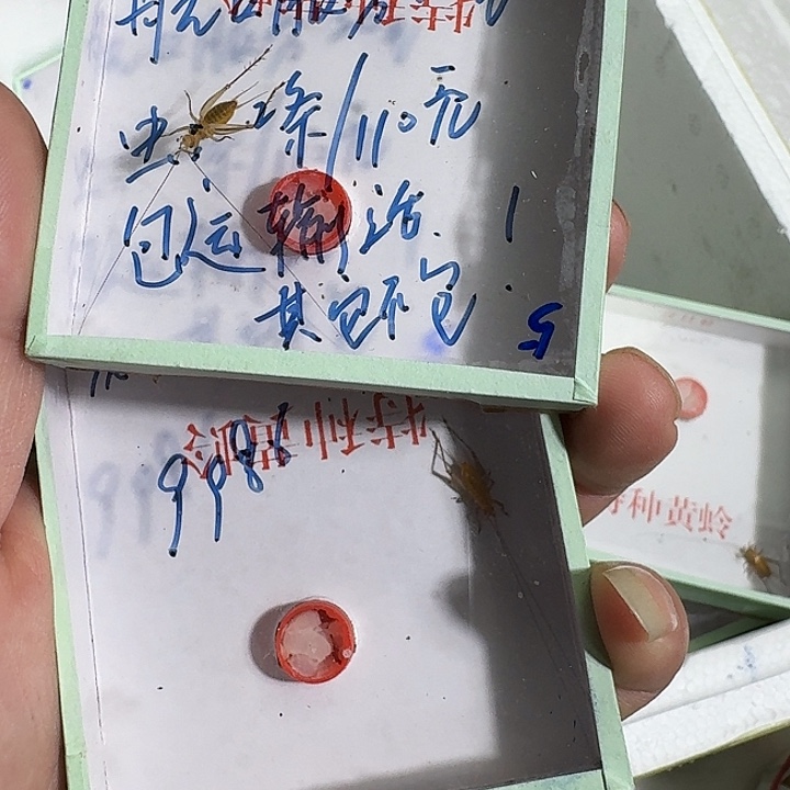 用***2蟋蟀111111111111反反复复方法