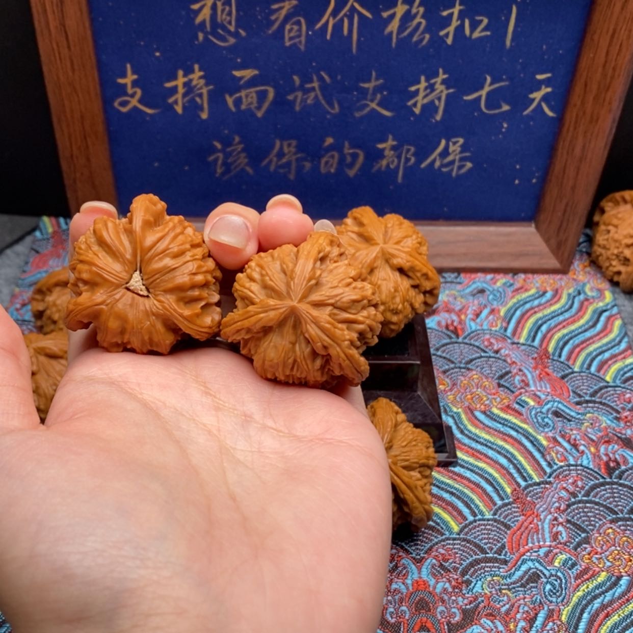 【闪购商品】℡**秦白狮