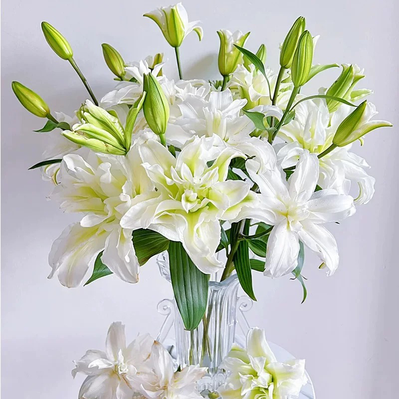 艾莎重瓣香水百合云南基地直发水养鲜花家用装饰