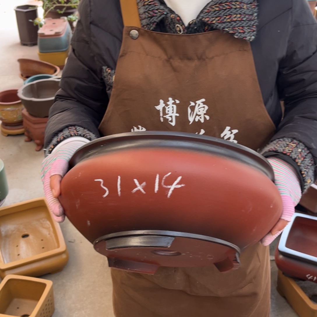 紫砂花盆盆景艺术