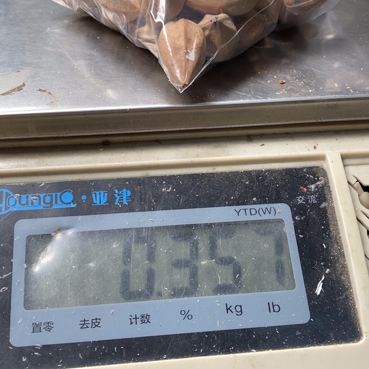 吊坠橄榄核航**宝橄榄球赛