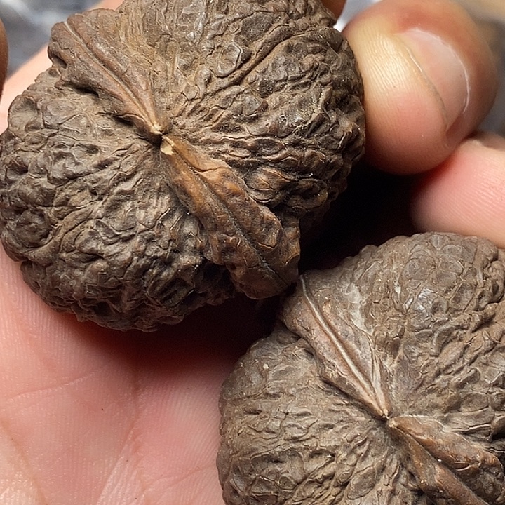 文玩核桃把件志成云铁文玩6