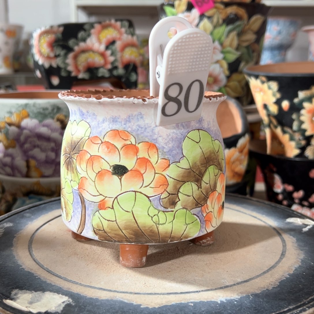 满38包邮 不满足不发哈