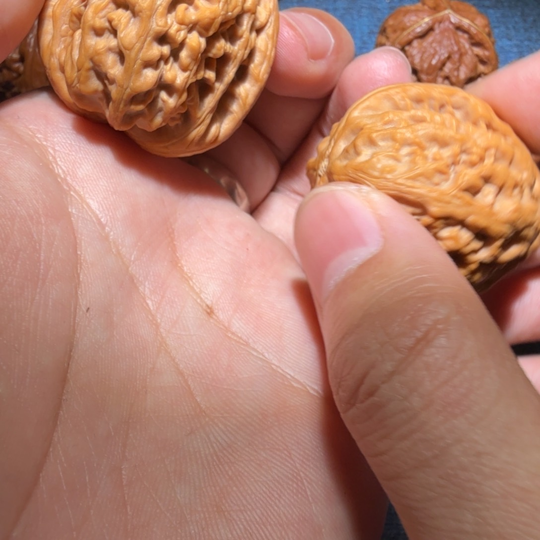 文玩核桃把件红锦鲤37尺寸200
