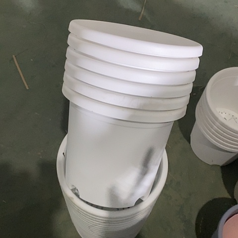 树脂有灰4号8个无托白