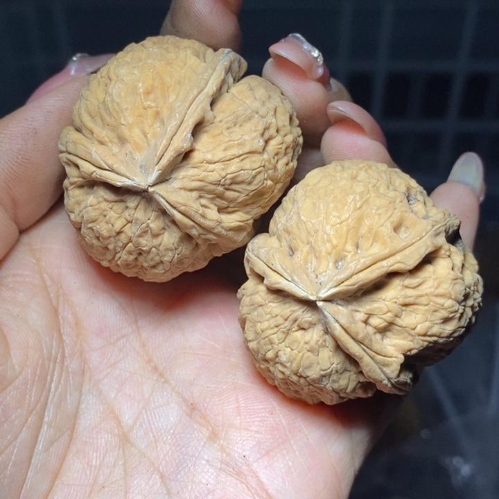 核桃云南野生铁核桃120号41mm